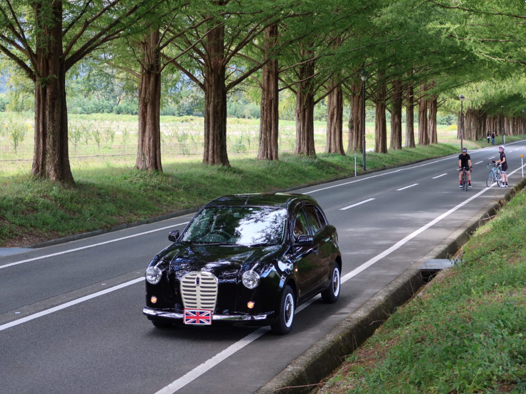 紅葉前のマキノ高原にて：ナイトベールパープルのミニスター